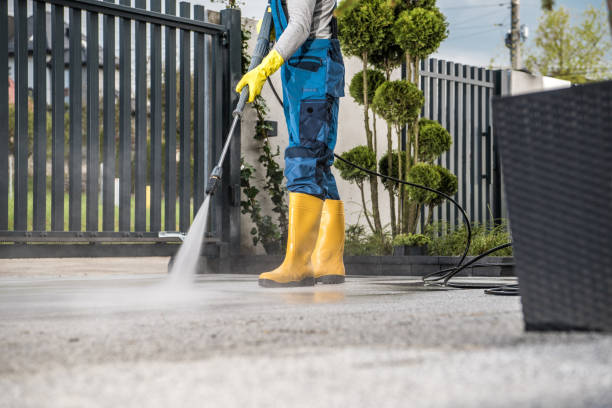 Best Affordable Pressure Washing  in Montevideo, MN