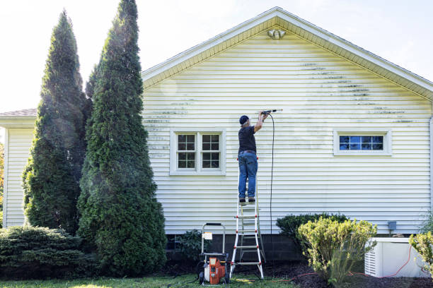 Best Local Pressure Washing Services  in Montevideo, MN