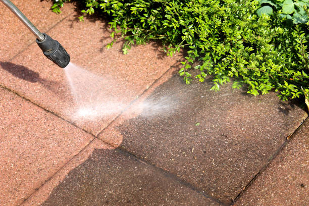 Best Pressure Washing Near Me  in Montevideo, MN